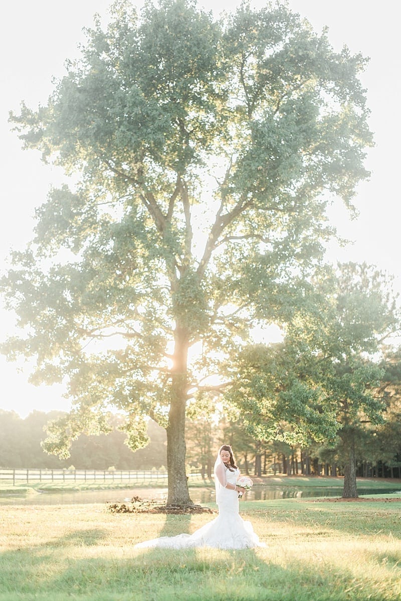 bridals in front of a big tree