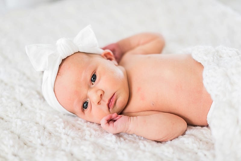 raleigh nc newborn portrait photo