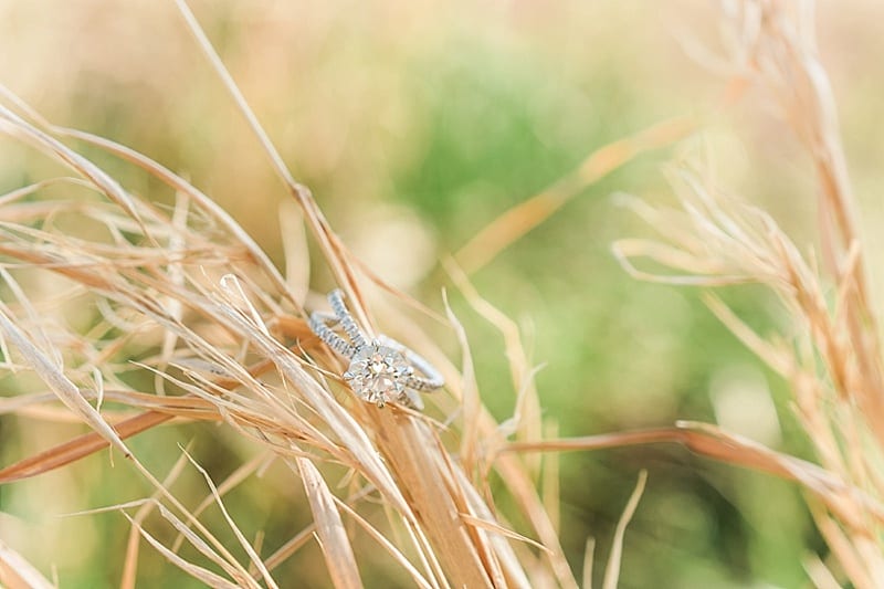 engagement ring in a field photo