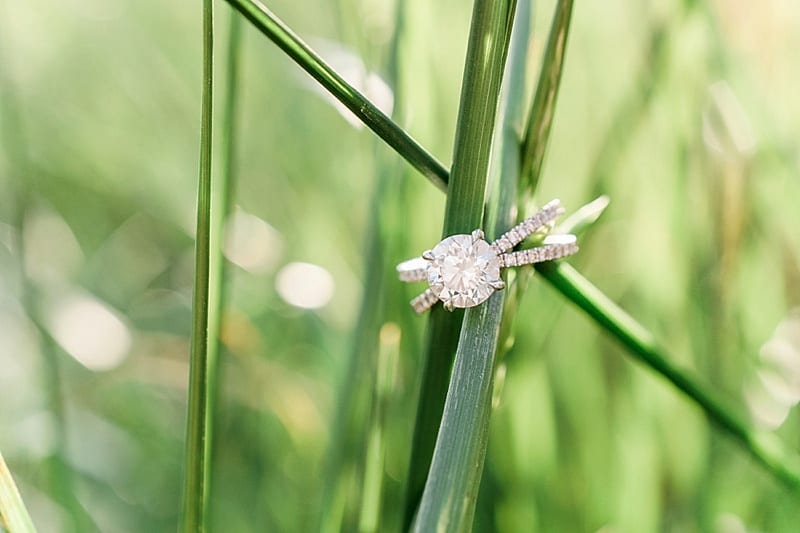 engagement ring on grass photo