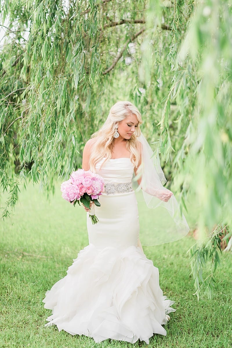 fine art wedding photographer bridal portrait in a willow tree photo