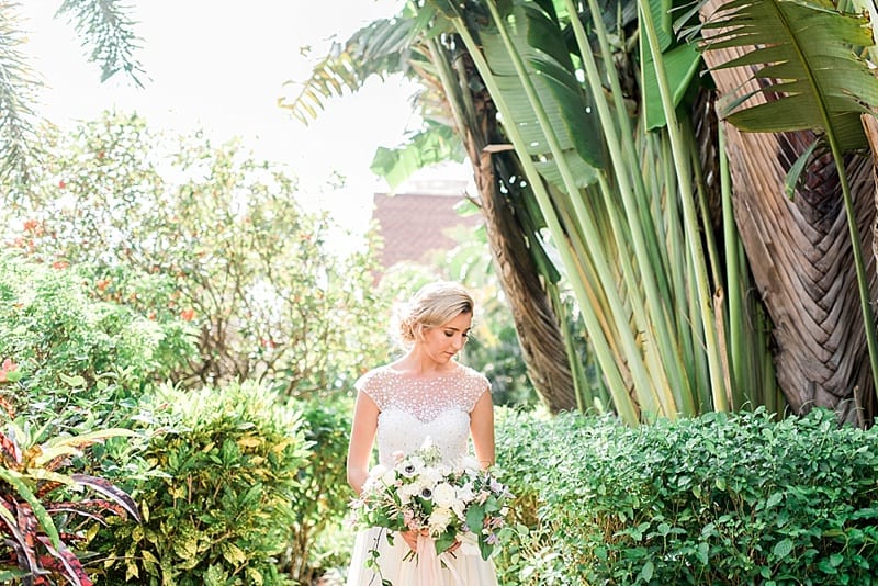 bride under a florida palm photo