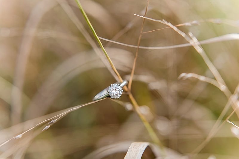 engagement ring in a field photo