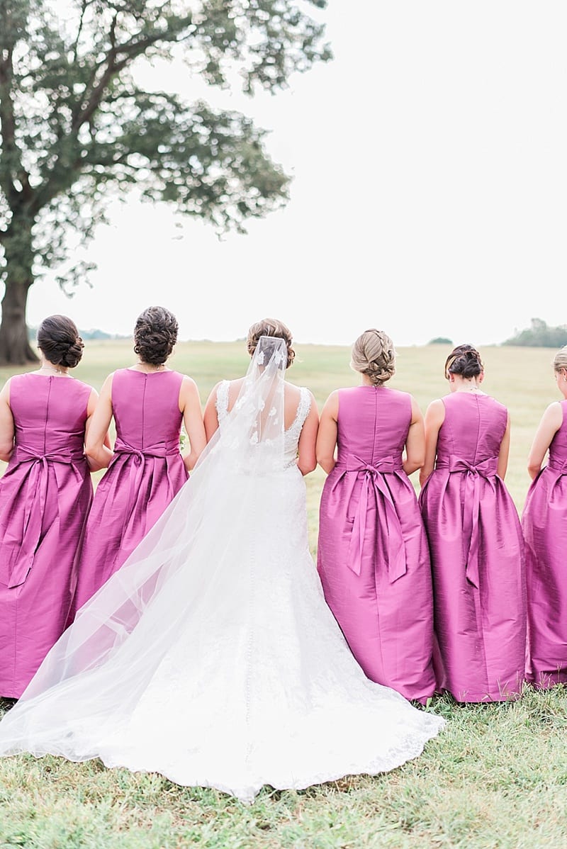 bridesmaids dresses with bows on the back photo