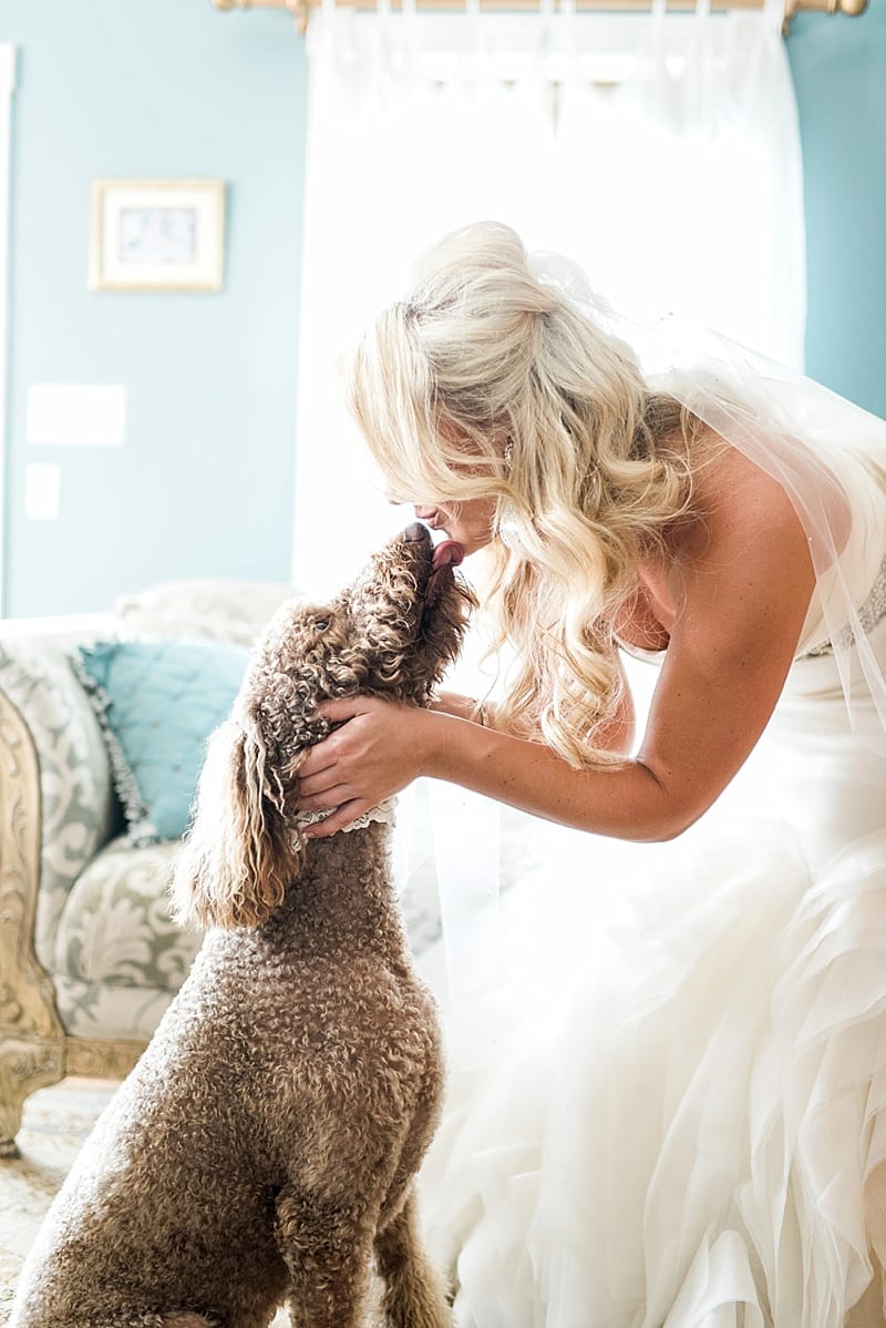 bride kissing her goldendoodle wedding photo