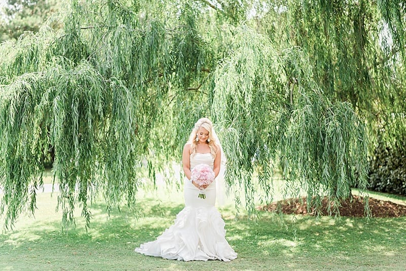 bridal portrait under a willow tree photo
