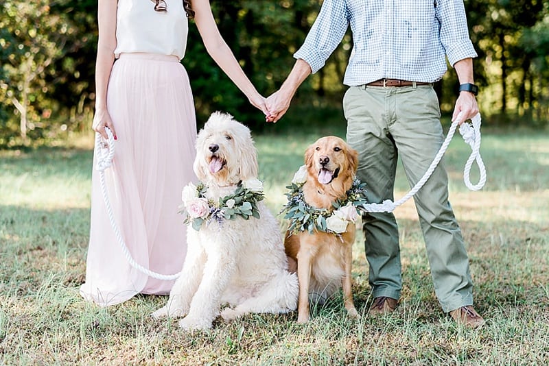 nc fine art engagement photos with dogs wearing flower crowns photo