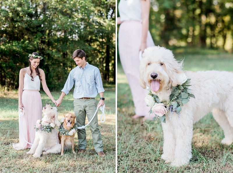 couple and dogs smiling engagement photo