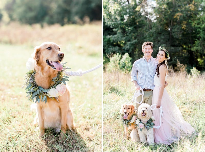 nc engagement photos with dogs in flower crowns photo