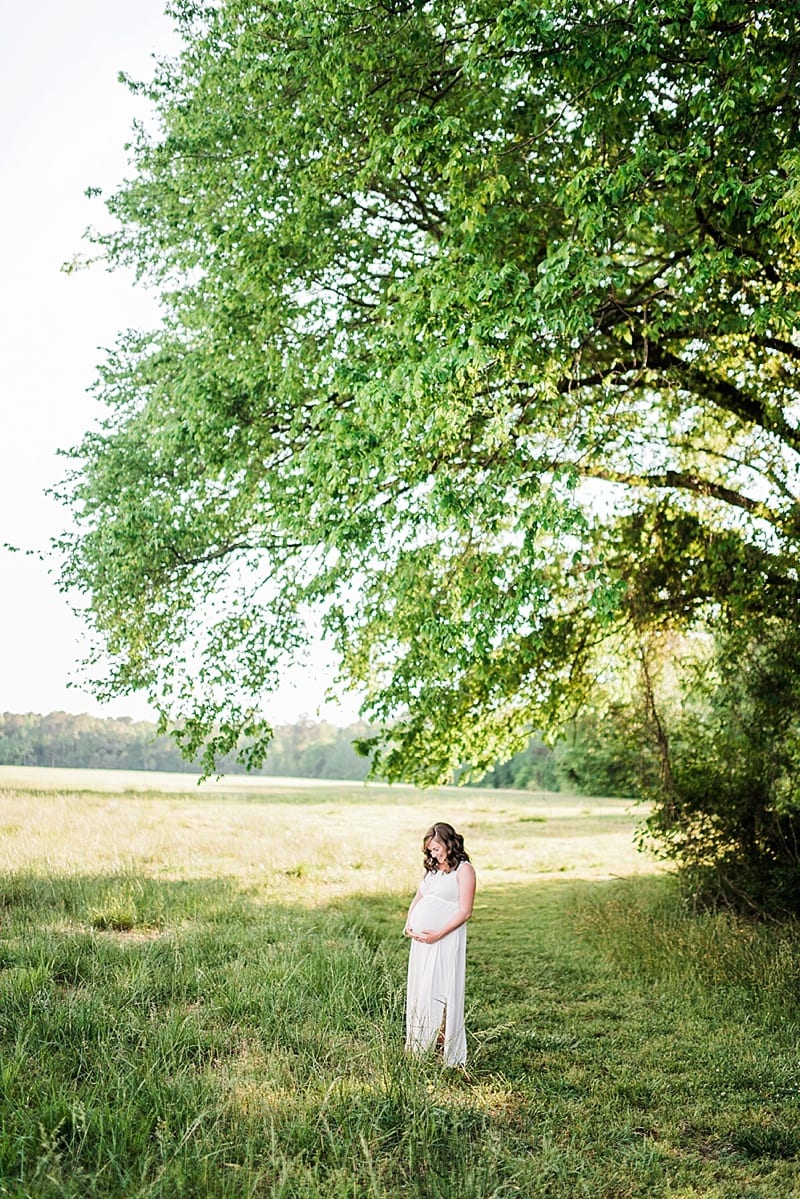 raleigh under a tree maternity photo