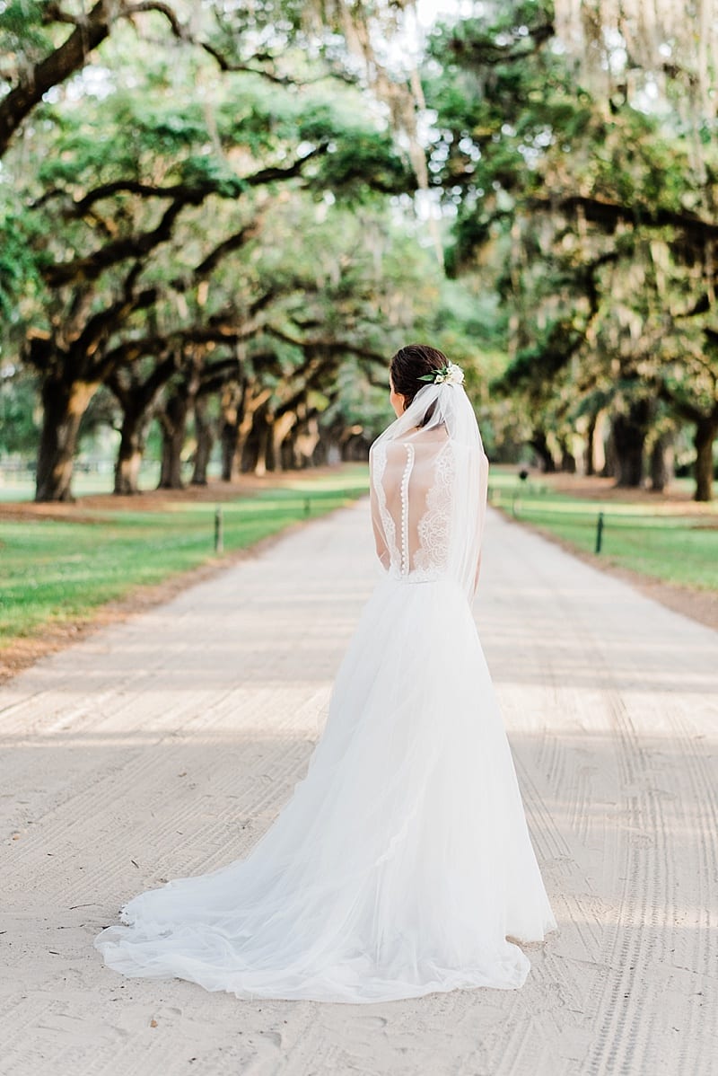 charleston sc bridal gown with lace open back photo