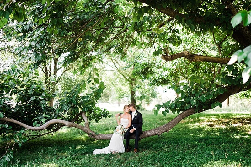 oaks at salem bride and groom sitting on a tree photo