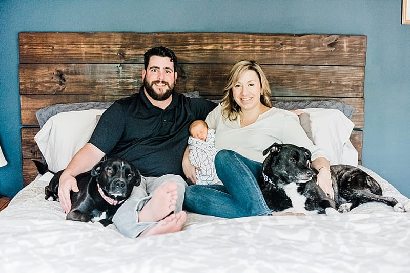 wake forest, nc newborn with dogs photo