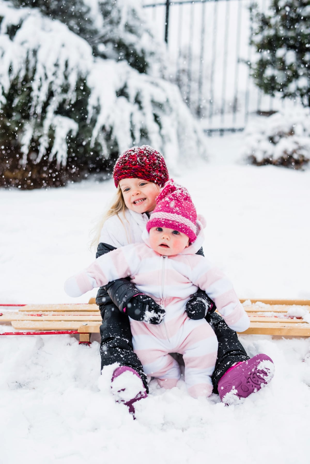 sisters on a sled photo
