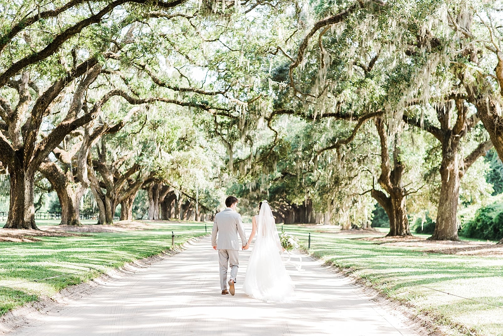boone hall plantation trees south carolina wedding photographer alley of oaks wedding ooh events photo