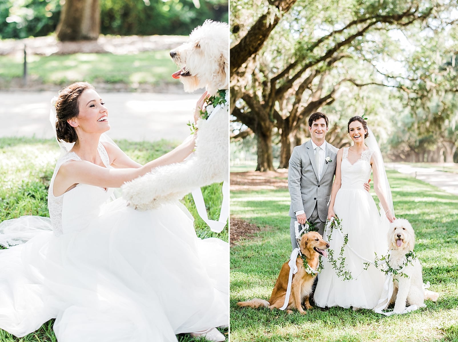 boone hall plantation wedding bride and dog ooh events photo