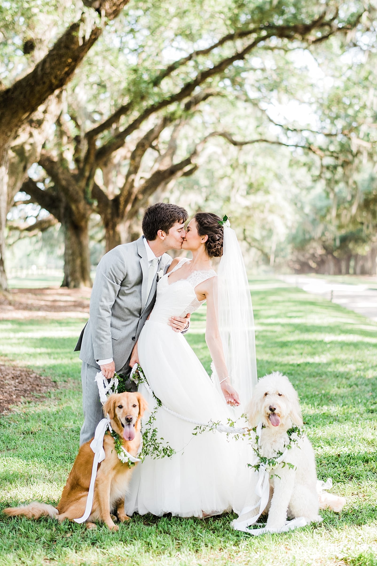 charleston wedding photography dogs in wedding flower crown for dog out of the garden photo