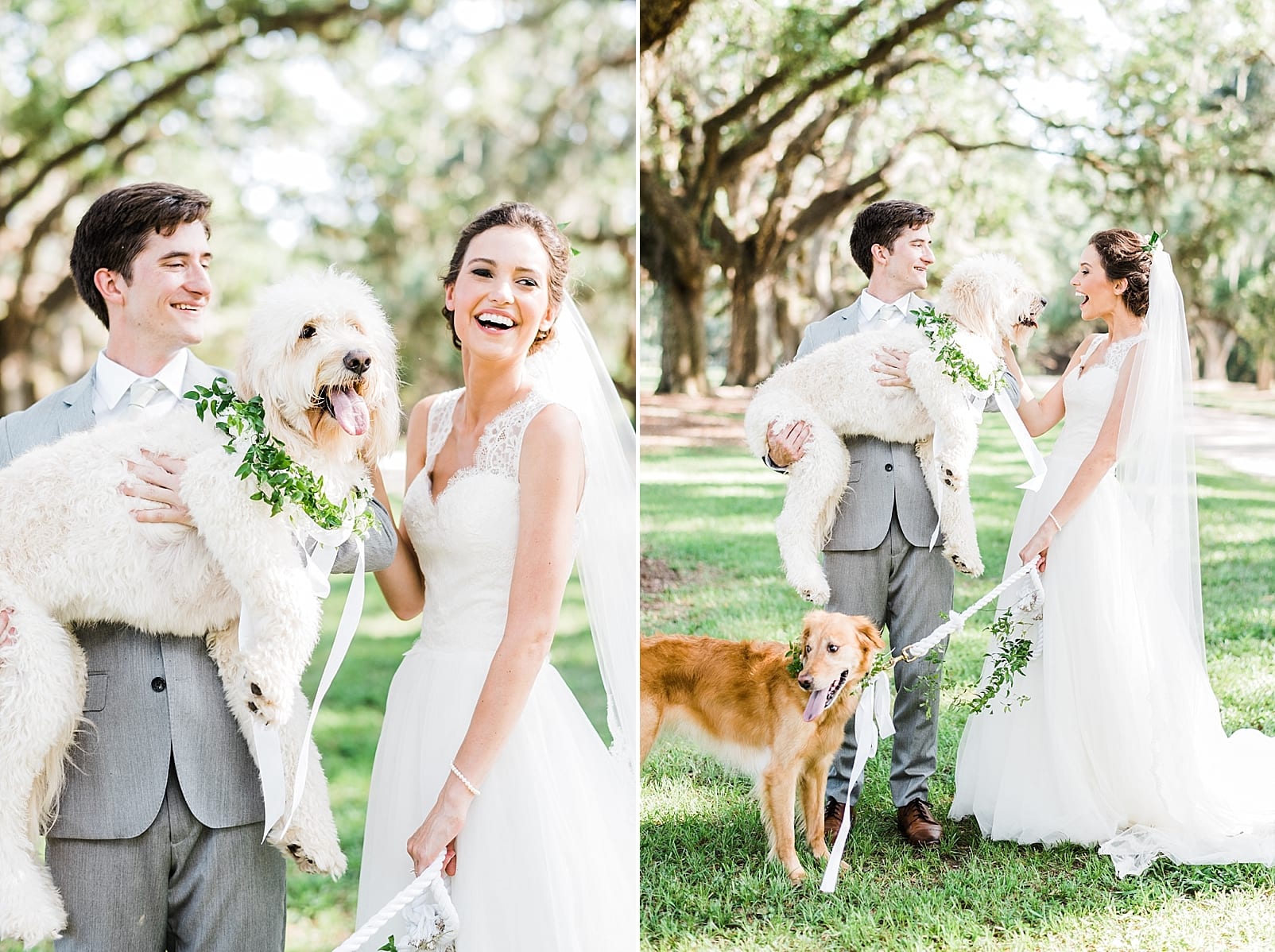 charleston wedding with dogs flower collar for dog out of the garden flowers photo