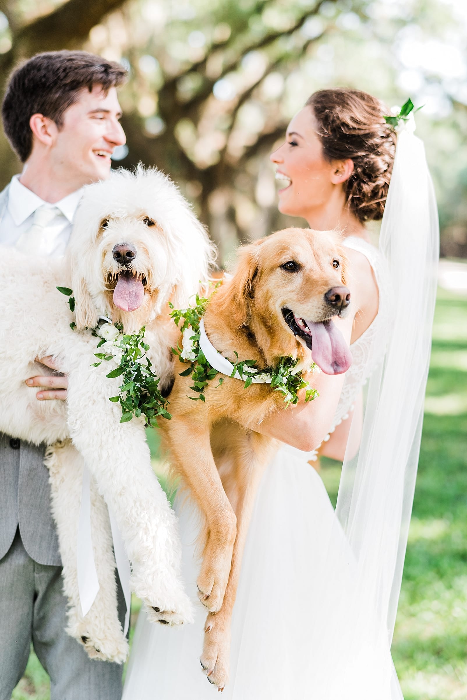 dogs in wedding south carolina photography dog with flower crown photo