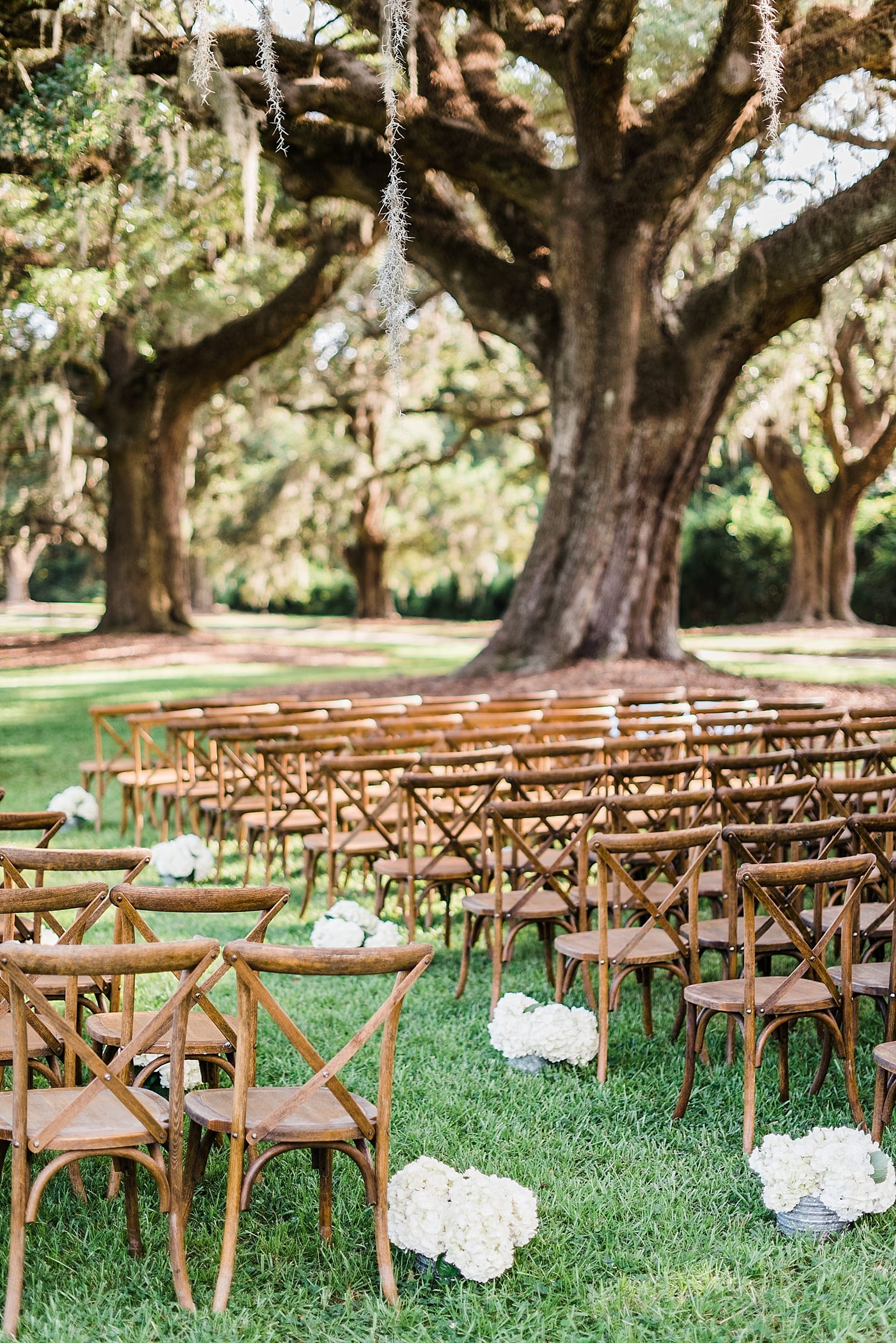 boone hall plantation wedding ceremony wooden chairs ooh events spanish moss photo