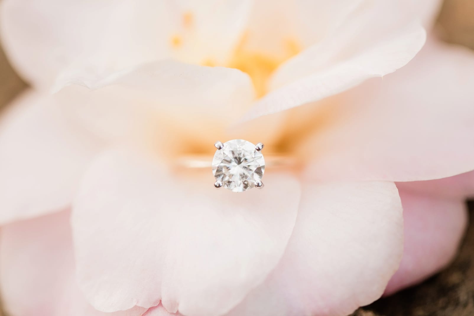 raleigh engagement session up close of solitaire diamond engagement ring photo