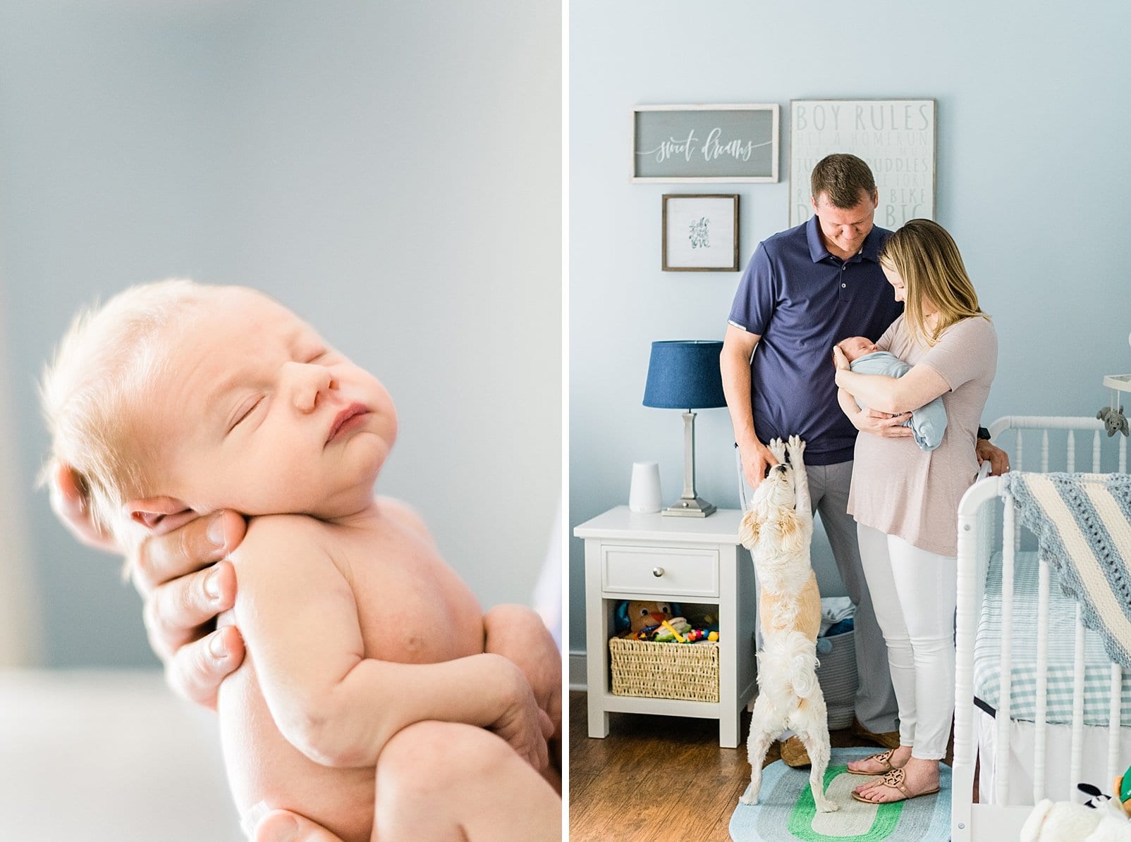 raleigh newborn session with family dog photo