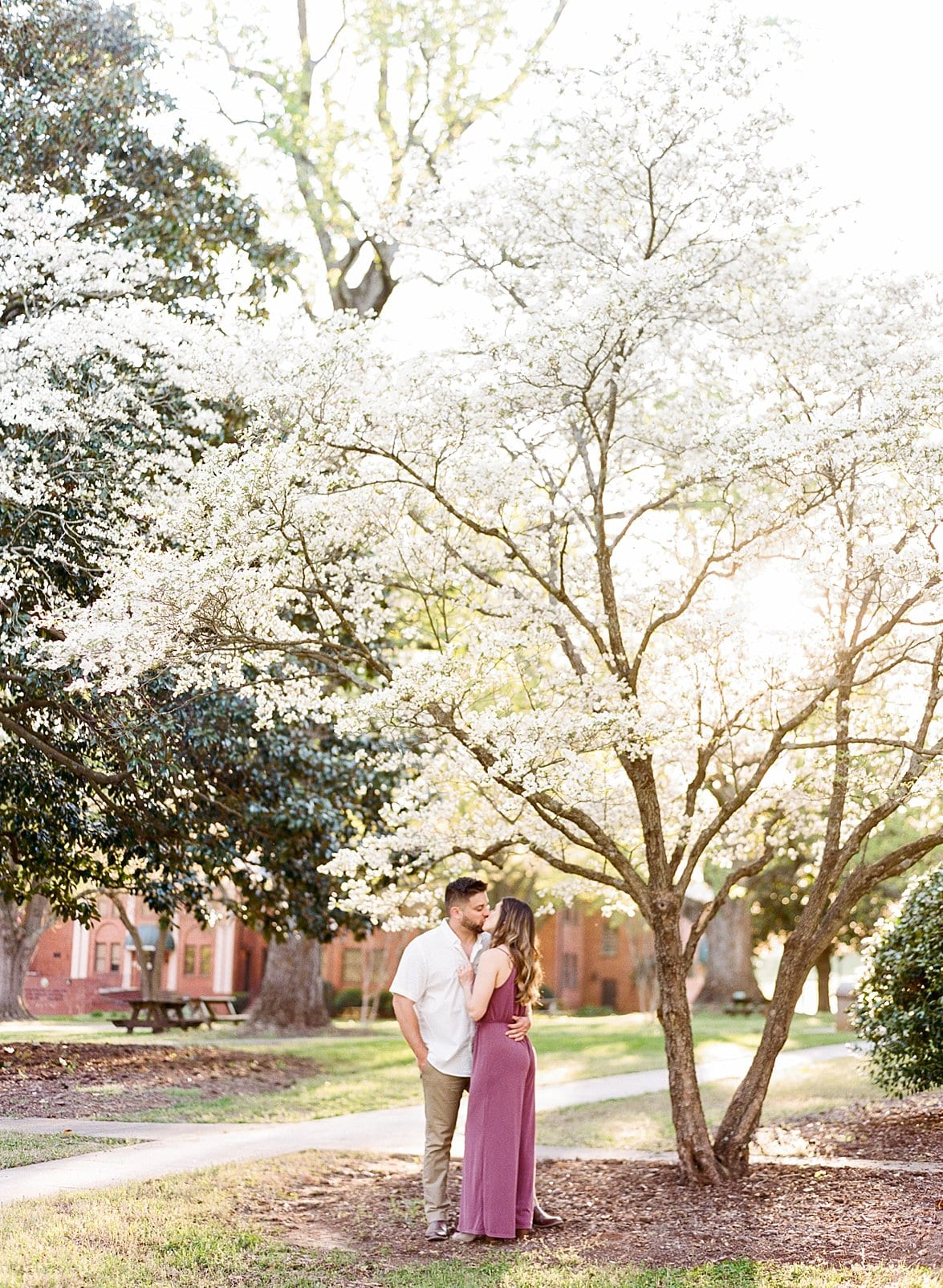 Raleigh couple embracing under a tree blooming for spring time photo