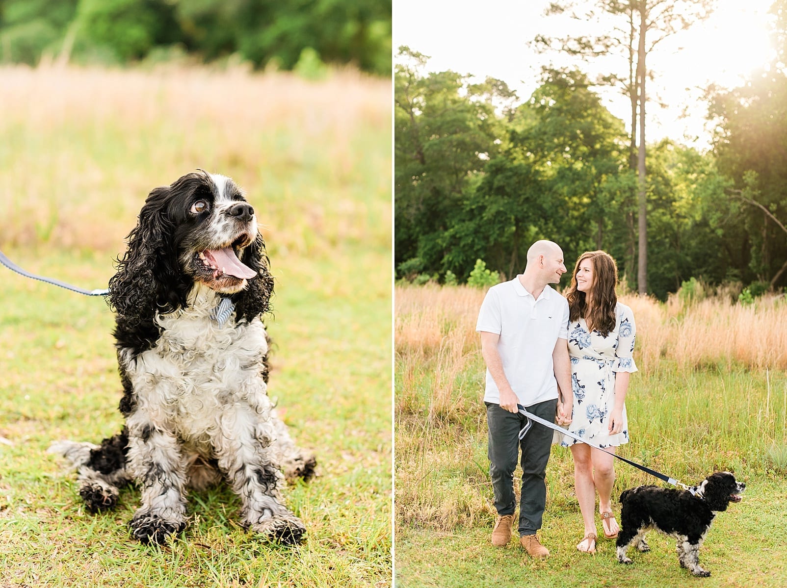 Wake Forest husband and wife walking their cocker spaniel photo