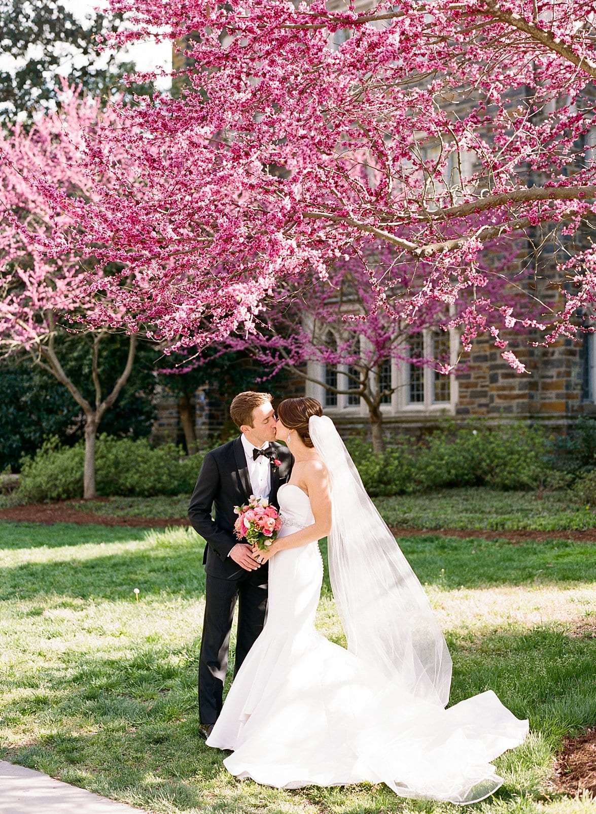 Duke Chapel bride and groom kissing in front of a tree with pink blossoms photo