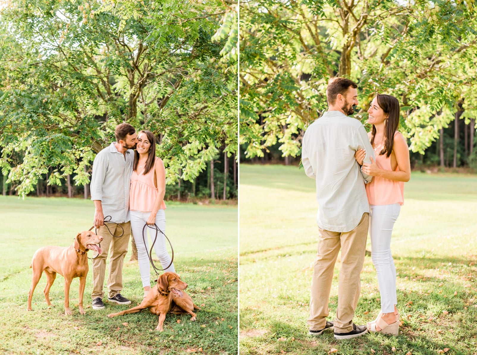 Raleigh engagement session with the couple and their two vizsla dogs photo