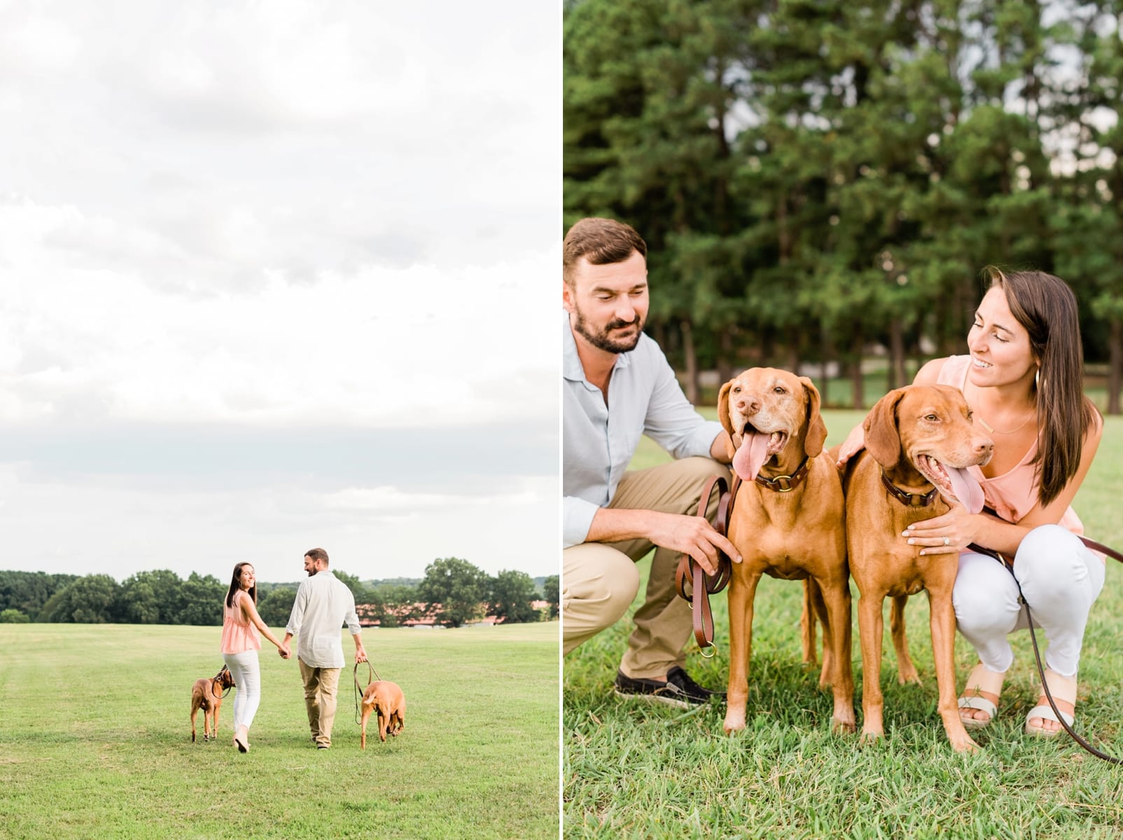 Raleigh couple squating down with their two vizslas photo