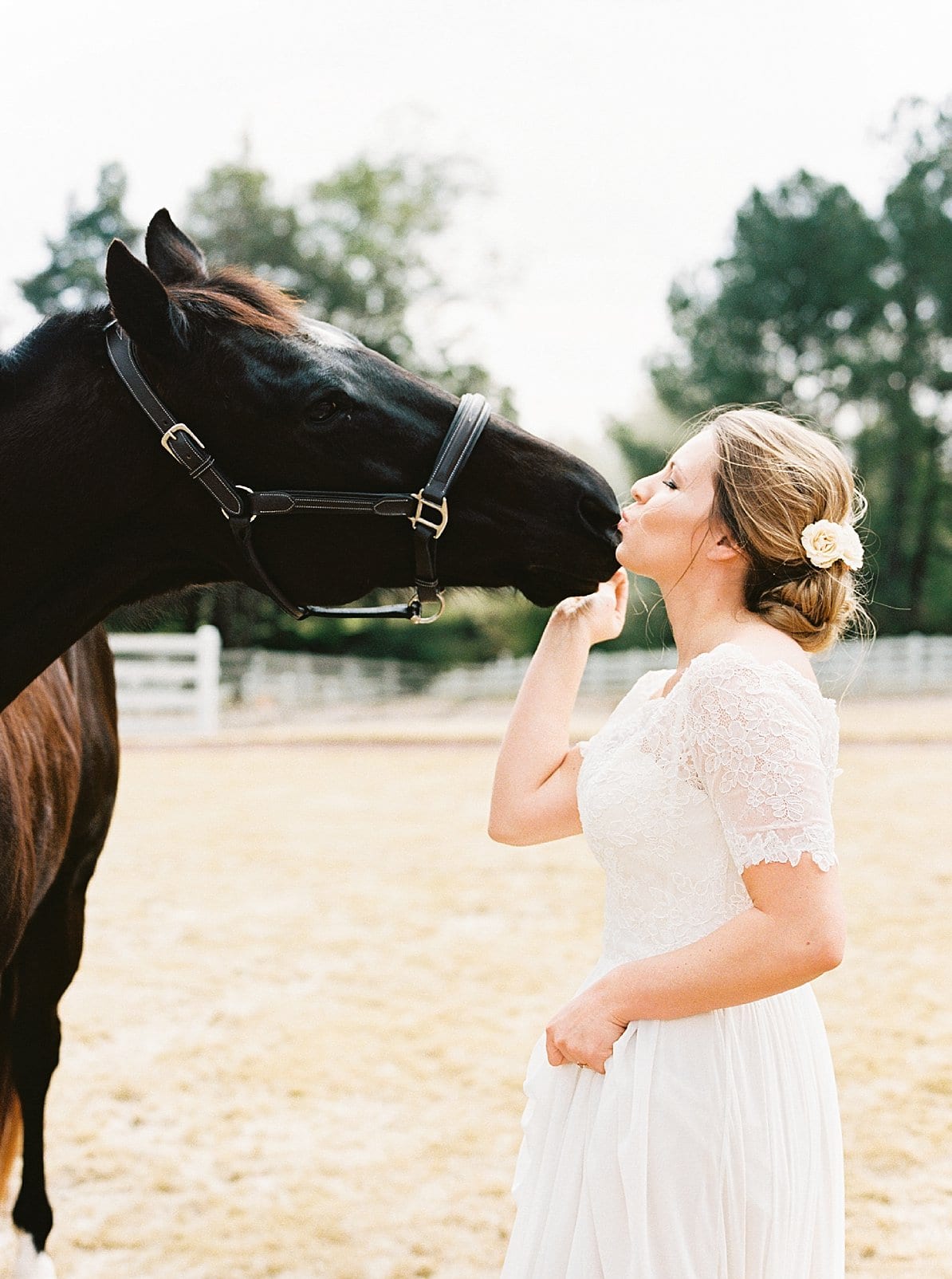 Wakefield Barn bride in a short sleeve lace gown kissing a horse photo