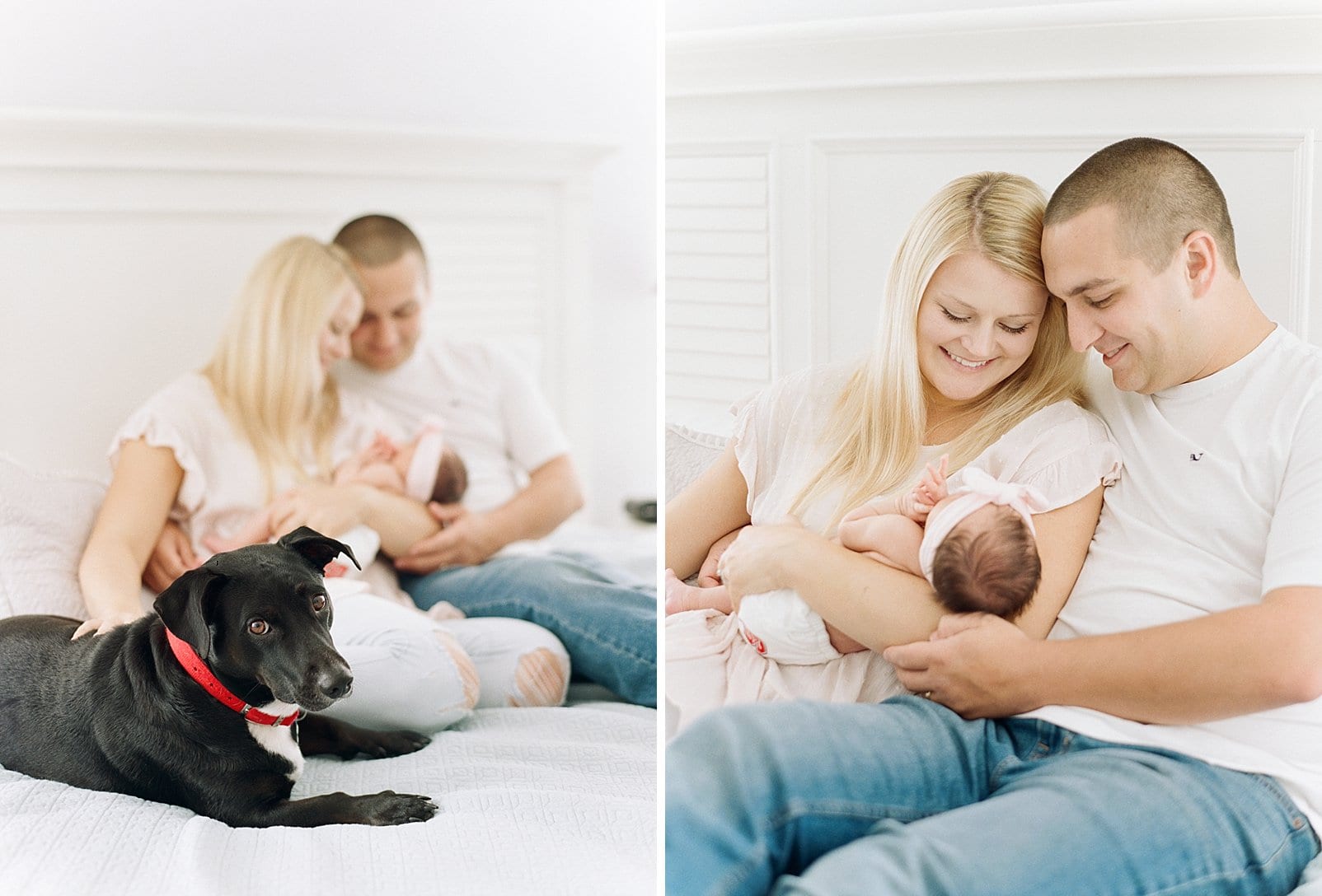Raleigh film newborn mother and father sitting on the bed holding their baby girl and their family dog laying next to them photo