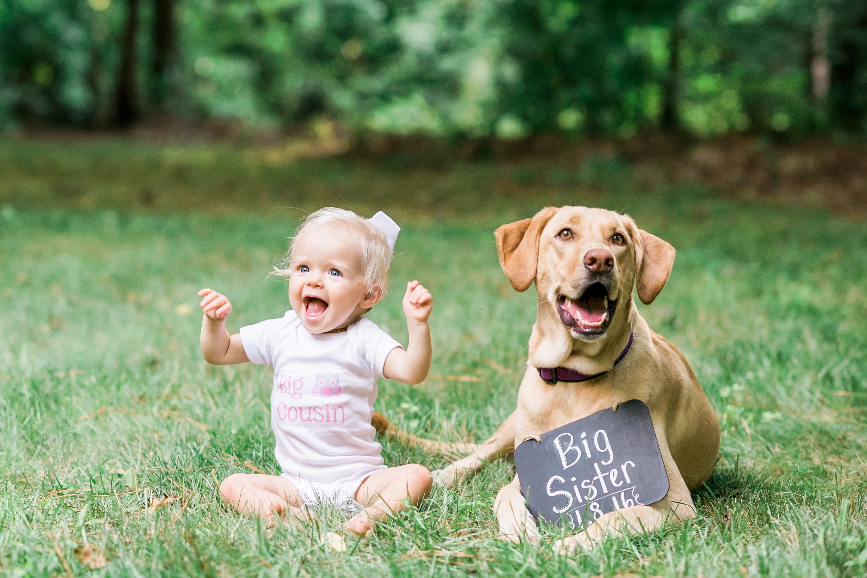 Big cousin & big sister, dog, baby announcement