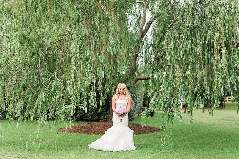 vera wang ethel wedding gown bridal under willow tree photo