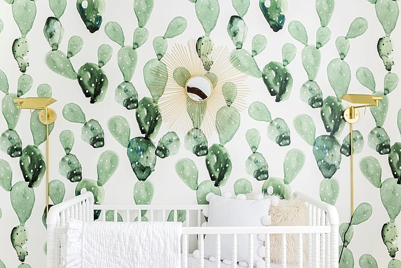 cactus wallpaper in baby nursery photo