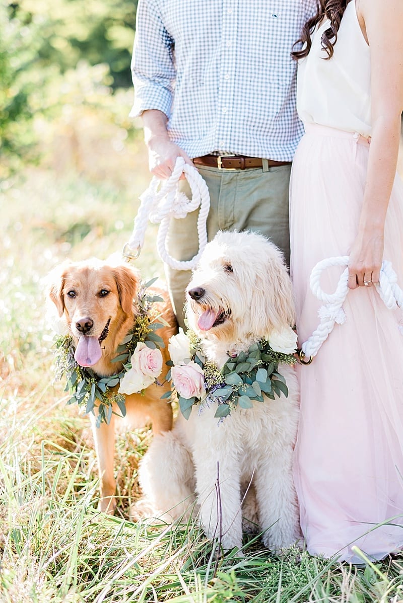 dogs in flower necklaces engagement photo