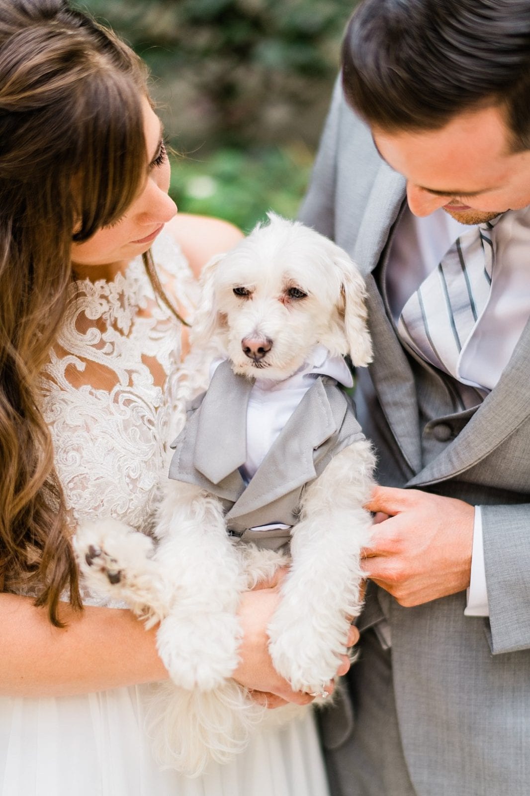 Chapel Hill Wedding Photographer • Forest Theater and The Great Room