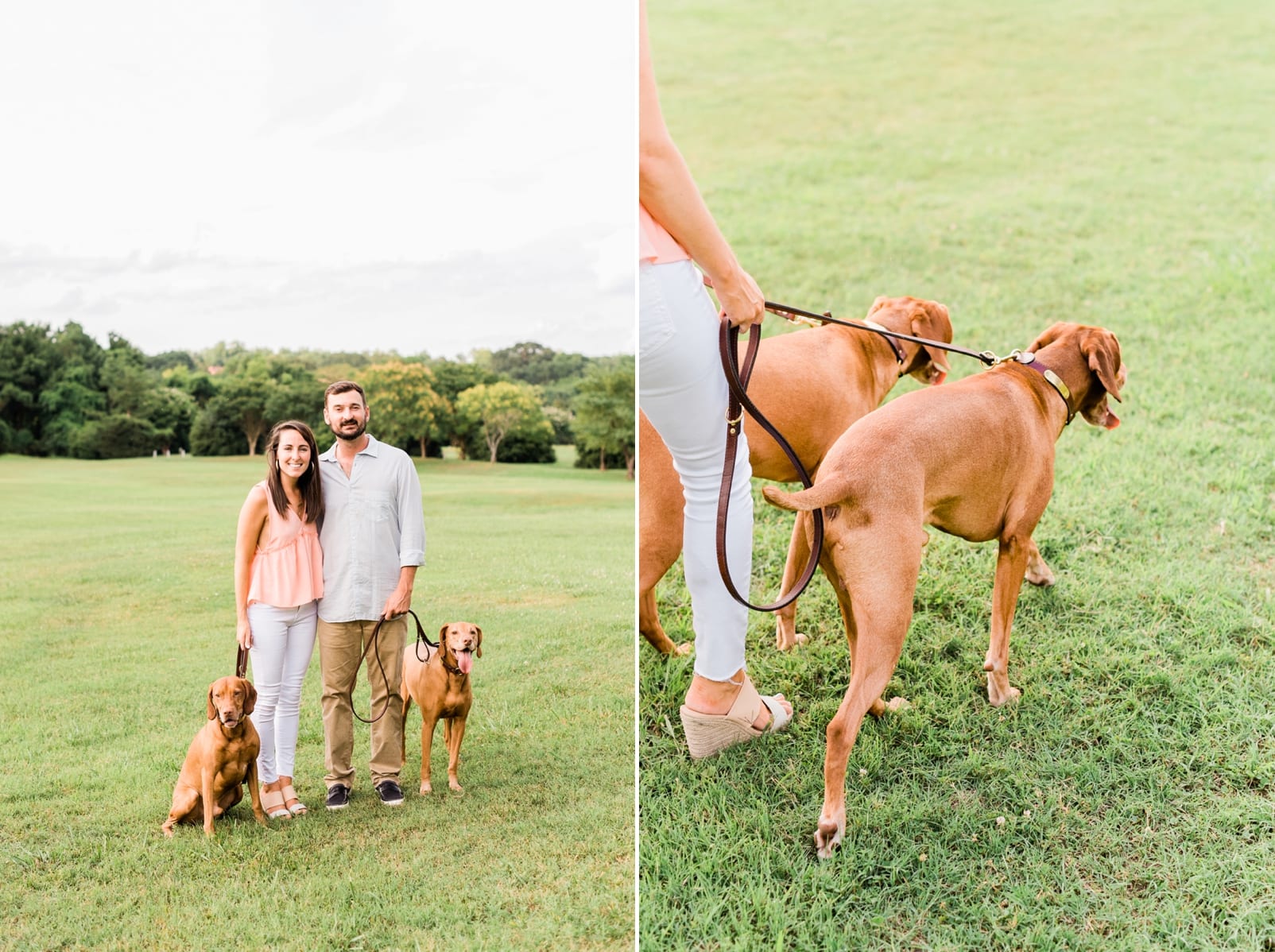 Raleigh engagement session with two vizsla dogs photo 